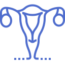 Custom icon