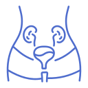 Custom icon