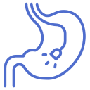 Custom icon
