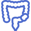 Custom icon
