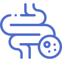 Custom icon