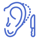 Custom icon