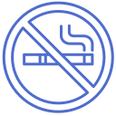 Custom icon